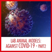See how the Lab Animal Models are playing a critical role against the COVID-19 <br>(Part II)